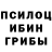 Псилоцибиновые грибы Magic Shrooms Mykhailo Solntsev