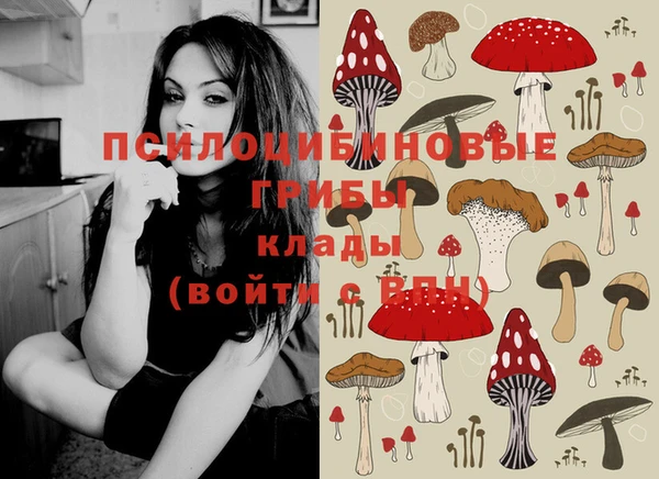 PSILOCYBIN Верхнеуральск