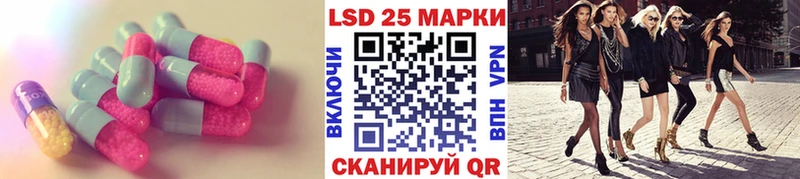 дарнет шоп  KRAKEN как зайти  Лсд 25 экстази кислота  Выборг 