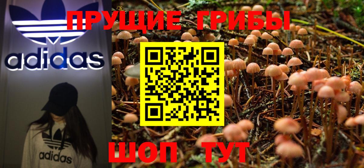 Галлюциногенные грибы Cubensis  Вход с VPN  Выборг 